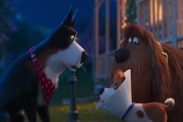 The Secret Life of Pets 2 2019 Dubb in Hindi thumb